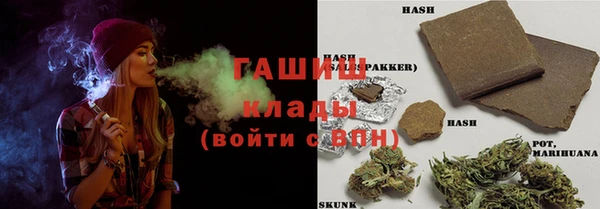 гашик Алексин