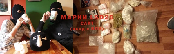 индика Алзамай