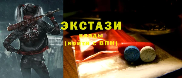 гашик Алексин