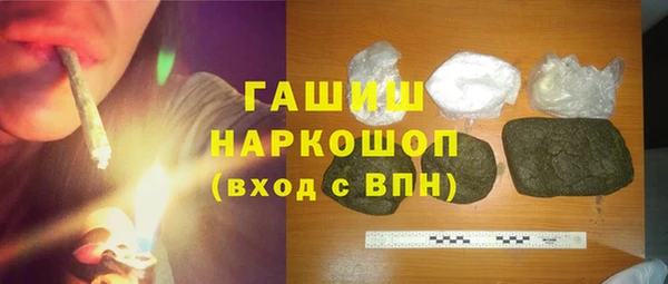 гашик Алексин
