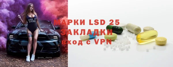 гашик Алексин