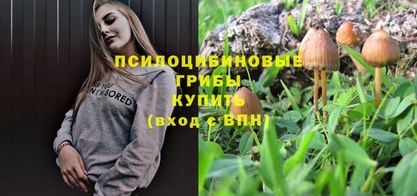 гашик Алексин