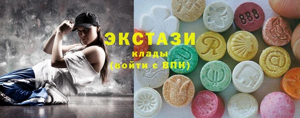 гашик Алексин