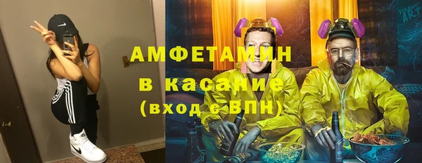 индика Алзамай