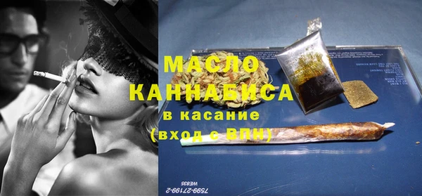 гашик Алексин