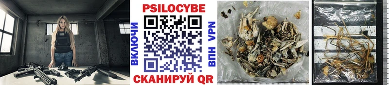 Галлюциногенные грибы Cubensis  где купить наркоту  Нижние Серги 